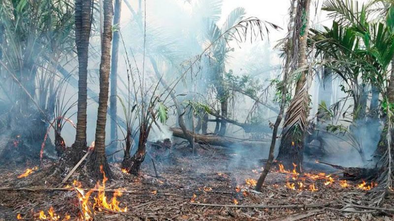 Este es el reporte de la Vigilancia y verificación de incendios al 17 de abril del 2023