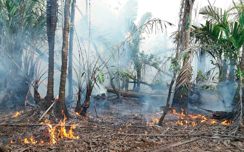 Este es el reporte de la Vigilancia y verificación de incendios al 17 de abril del 2023