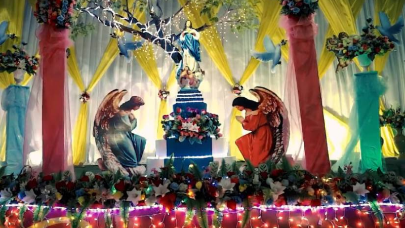 Cómo surge la celebración de la Purísima y cuál es el significado del grito ¿Quién causa tanta alegría?