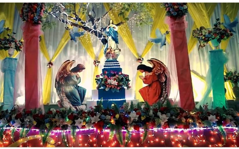 Cómo surge la celebración de la Purísima y cuál es el significado del grito ¿Quién causa tanta alegría?