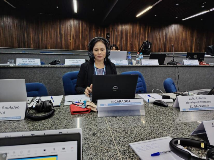 Representación del MARENA participa en reunión sobre bosques de la Organización de las Naciones Unidas