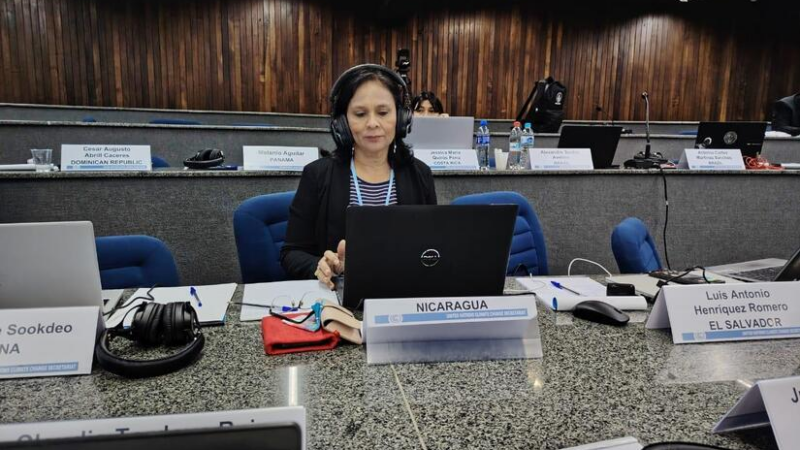 Representación del MARENA participa en reunión sobre bosques de la Organización de las Naciones Unidas