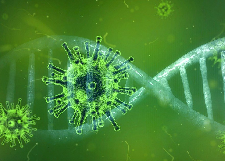 Autoridades de salud confirman semana sin casos de Covid-19