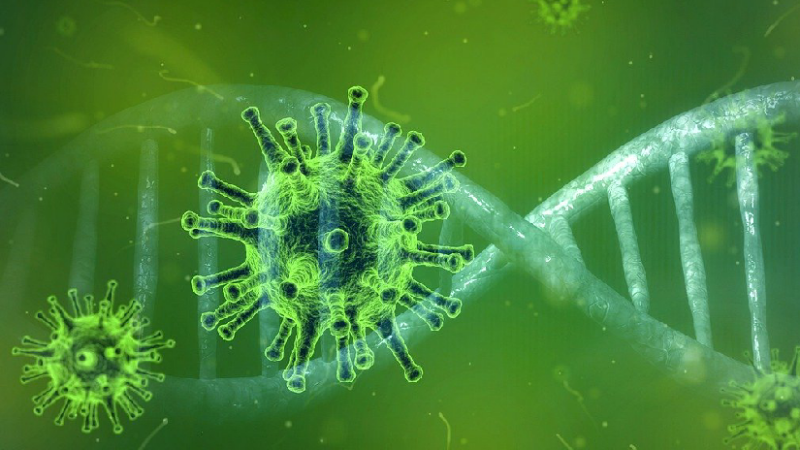 Autoridades de salud confirman semana sin casos de Covid-19