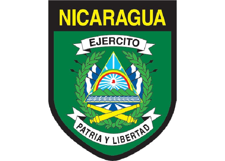 Marcha patriótica y ejercicio de tiro con armas de infantería