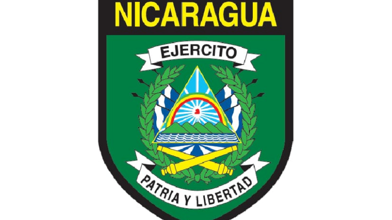 Marcha patriótica y ejercicio de tiro con armas de infantería