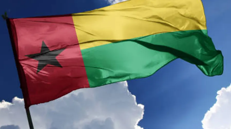 Mensaje al Presidente de Transición de la República de Guinea Bisáu