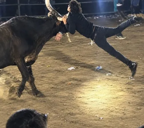 Joven sufre grave herida al ser corneado por un toro en barrera de Masaya