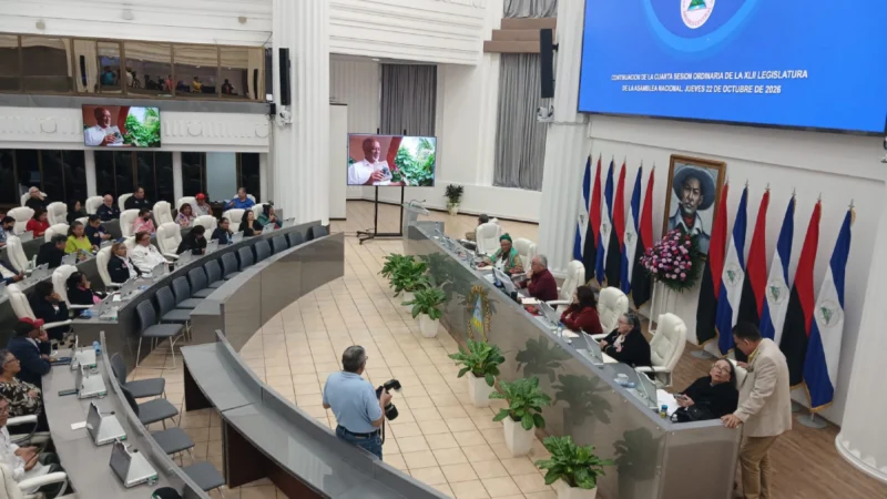 Asamblea Nacional aprueba figura de codirectores generales para la DGI y la DGA