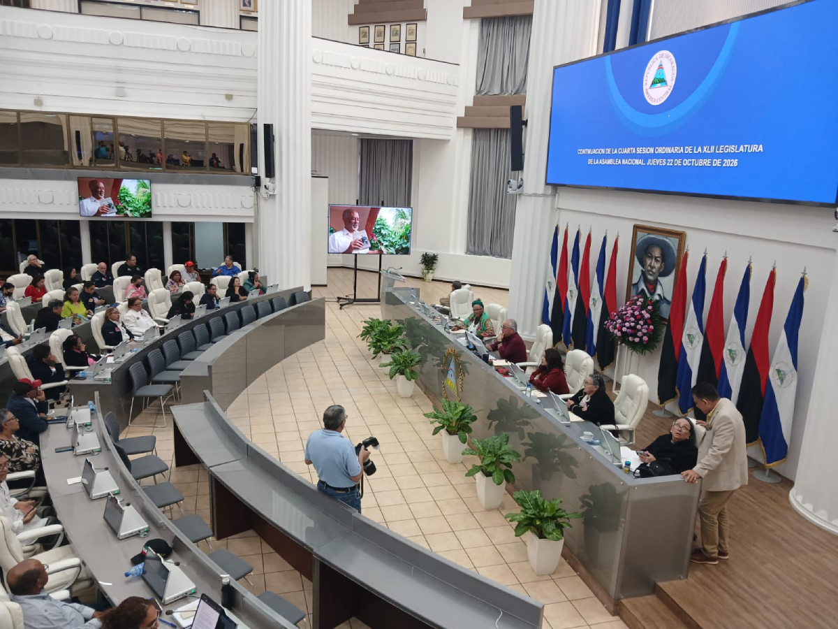 Asamblea Nacional aprueba figura de codirectores generales para la DGI y la DGA