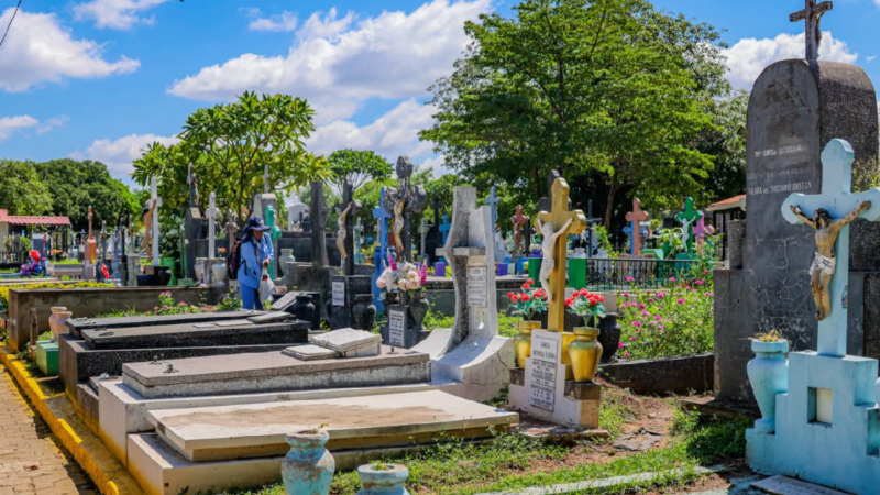 Ofrendas florales honrarán la memoria de maestros insignes en el Día de los Fieles Difuntos